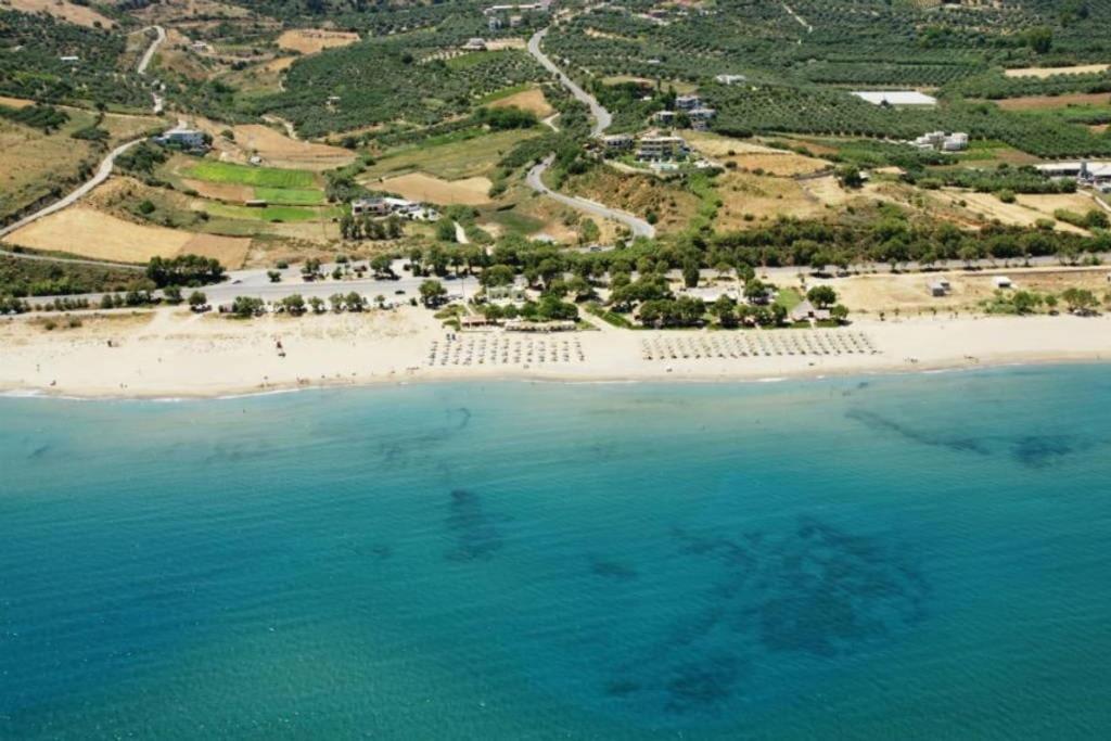 Olive Tree Farm 200M From The Beach Episkopi-Chania Dış mekan fotoğraf