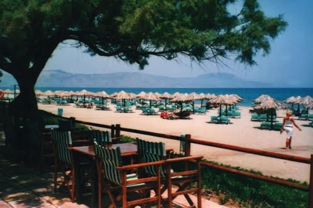 Olive Tree Farm 200M From The Beach Episkopi-Chania Dış mekan fotoğraf
