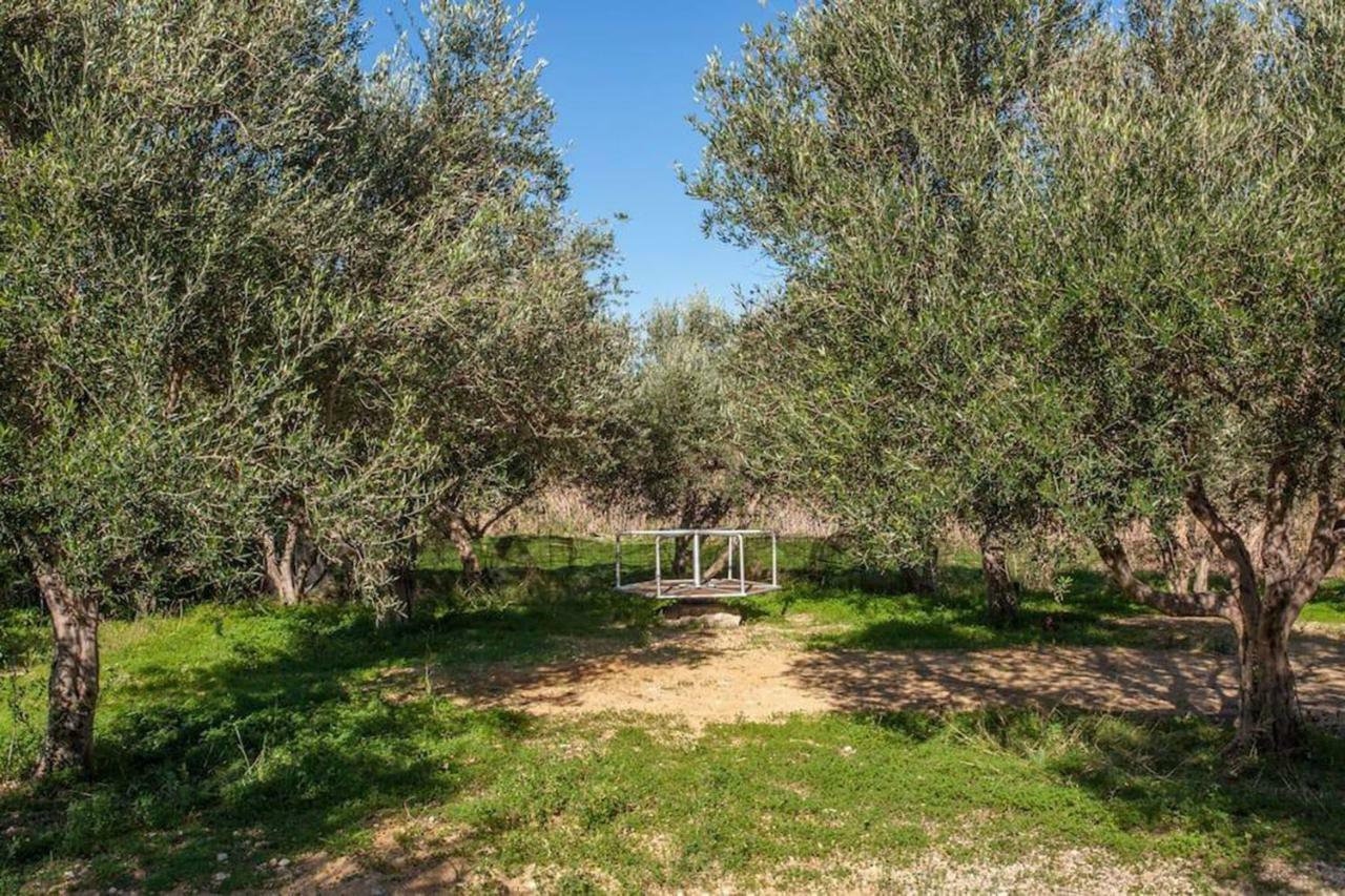 Olive Tree Farm 200M From The Beach Episkopi-Chania Dış mekan fotoğraf