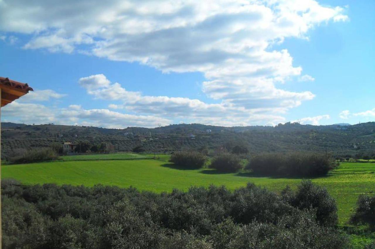 Olive Tree Farm 200M From The Beach Episkopi-Chania Dış mekan fotoğraf
