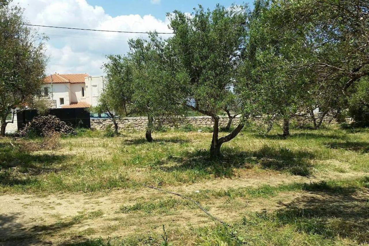 Olive Tree Farm 200M From The Beach Episkopi-Chania Dış mekan fotoğraf